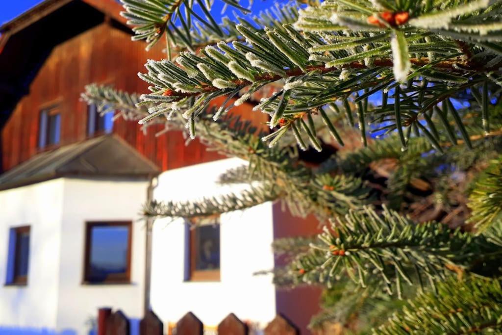 "Stone'S Throw" Krumlov 5 Min By Car, Lipno 15 Min By Car, 2 Bdrooms,Playroom Kájov Exterior foto